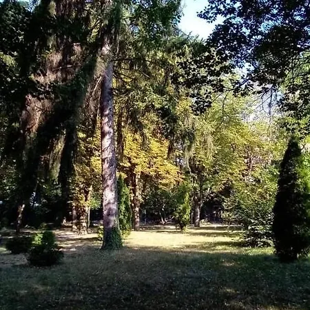 'o Sole Mio Гърмен